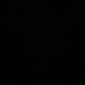 Meet your Posher, Beatrix